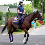 「【注目馬動向】アドマイヤズームは富士Ｓで復帰しマイルＣＳを目指す　友道調教師「爪は伸びて良くなっている」」の画像1
