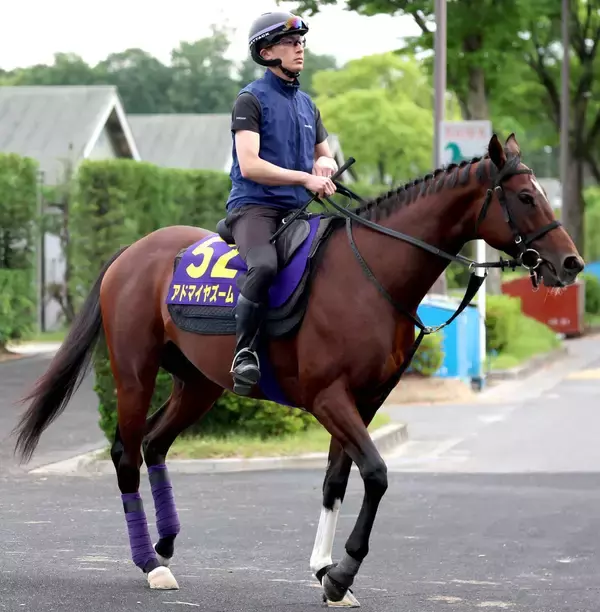 【注目馬動向】アドマイヤズームは富士Ｓで復帰しマイルＣＳを目指す　友道調教師「爪は伸びて良くなっている」
