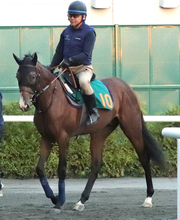 【札幌２歳Ｓ・金曜気配】中１週で重賞初挑戦のデザートスピリットが好気配　陣営「ほどよく気合」