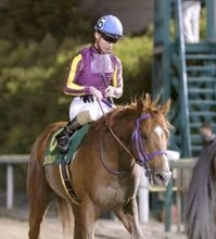 「THEカジノドライヴ」「行きたい！休みたい」地方の雄９歳馬の引退発表にファン涙　最終戦へエール続出