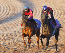 【阪神ＪＦ・考察】「動と静」で対照的な調整過程を踏むラスティングスノーとミツカネベネラ　功を奏すれば一発も