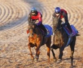 【阪神ＪＦ・考察】「動と静」で対照的な調整過程を踏むラスティングスノーとミツカネベネラ　功を奏すれば一発も