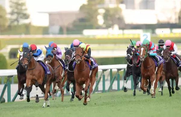 【阪神ＪＦ】スターアニスが初マイル克服して２歳女王　松山弘平騎手「本当に強かった。とにかく無事にいって欲しい」