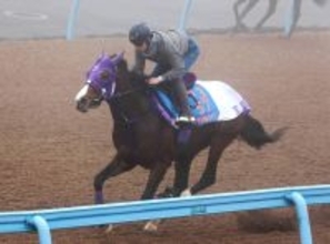 【東京大賞典】ナチュラルライズはスムーズな走り　横山武史騎手「直線で真っすぐ走れていました」