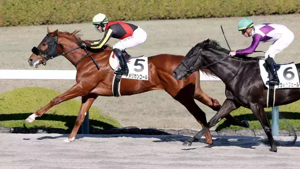 【阪神６Ｒ・２歳新馬】アメリカンファラオ産駒のアメリカンコールがデビュー勝ち　Ｃデムーロ騎手「楽しみ」