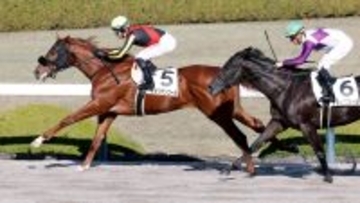 【阪神６Ｒ・２歳新馬】アメリカンファラオ産駒のアメリカンコールがデビュー勝ち　Ｃデムーロ騎手「楽しみ」