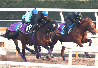 【共同通信杯・１週前】ラヴェニューが菅原明良騎手と抜群の動き　陣営「仕掛けてからの反応も良かったです」