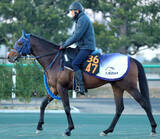 「【雲取賞】対戦相手の比較から力量上位のマクリール　手塚久調教師は「力は足りそう」…出走馬の陣営コメント」の画像1