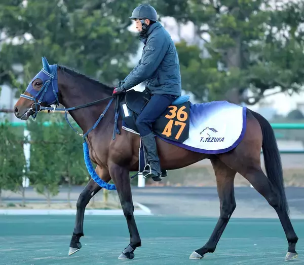 【雲取賞】対戦相手の比較から力量上位のマクリール　手塚久調教師は「力は足りそう」…出走馬の陣営コメント