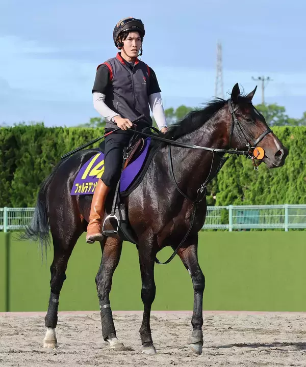 【日本ダービー・金曜気配】軽く汗流したフォルテアンジェロ　荻野極騎手は７枠１５番に「外ですけど、ゴチャつかなさそうなんで」と好感触