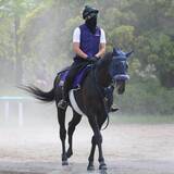 「【日本ダービー】馬トク外厩情報…皐月賞を使わなかったことが武器　“外厩帰りのフレッシュな伏兵”が浮上」の画像1