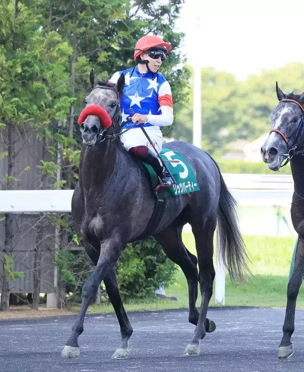 【ラジオＮＩＫＫＥＩ賞】２番人気の重賞初挑戦リッツパーティーは３着　横山武史騎手「敗因はいくつか…」
