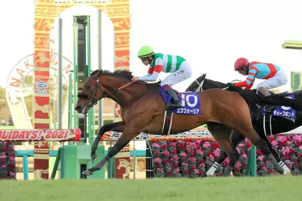 絶好調の新種牡馬が日高のセリでも大人気！初日に続いて３日目もエフフォーリア産駒が最高落札額をマーク