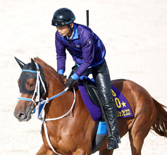【注目馬動向】ジュウリョクピエロは完全に体調回復　エリザベス女王杯へ寺島調教師「聖奈には１週前から乗ってもらいます」