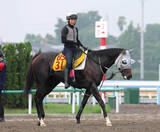 「【名古屋大賞典】コースレコード、連勝で決めた！アピーリングルックが重賞初挑戦でＶ　松山弘平騎手「今後も楽しみ」」の画像1