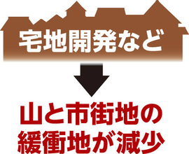 【プレーバック２０２５】クマ被害が増えた原因に人間側の問題も…興味本位で駆除を妨害