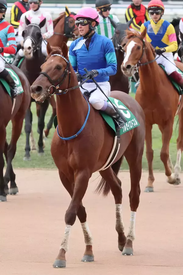 【京都金杯】武豊騎手２６年初重賞は７着「スタートが良くなかった」クルゼイロドスルで懸命追い上げも