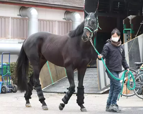 ２３年天皇賞・春勝ち馬のジャスティンパレスが競走馬登録抹消　今後はアロースタッドで種牡馬に