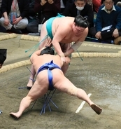 一山本、“推し力士”を引き落とし、連敗を６で止める「土俵に上がってしまえば考えない」