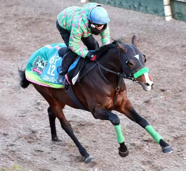 【東京新聞杯】エルトンバローズはここが目イチの仕上げ　杉山晴調教師「もう一度重賞タイトルをとりたい」