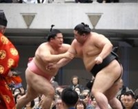 宇良、春巡業で精力的に２７番　高田川巡業部長「来場所に懸ける思いが強いのではないか。立派ですよ」