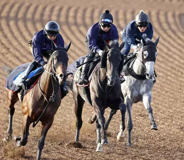 【青葉賞】ルメール騎手のアローメタルが抽選突破ならず　戸崎圭太騎手のオルフセンなどの有力馬も除外に