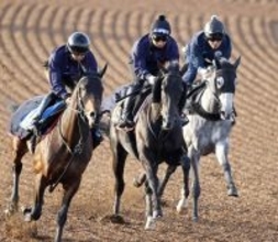 【青葉賞】ルメール騎手のアローメタルが抽選突破ならず　戸崎圭太騎手のオルフセンなどの有力馬も除外に