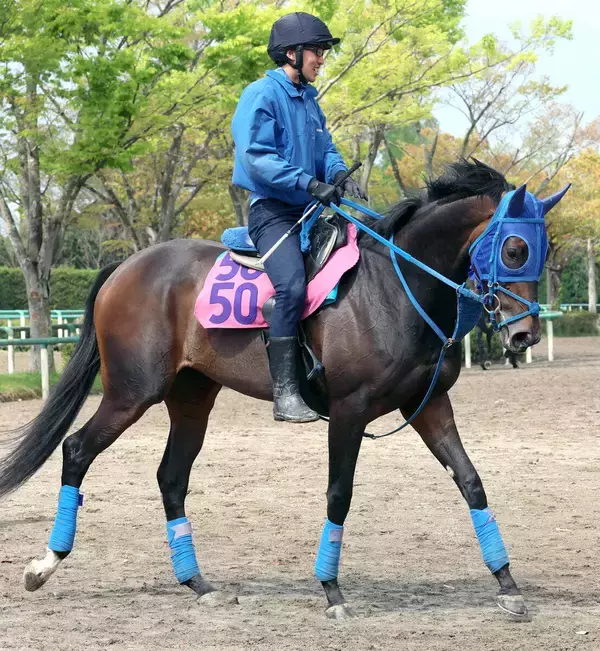 【フローラＳ】単勝１番人気は牡馬相手好走のラフターラインズ　２番人気にキャリア１戦の関東馬が浮上　前日最終オッズ