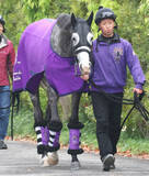 「【天皇賞・春】武豊騎手のアドマイヤテラは過去最多１３勝の３番枠　陣営「豊さんに任せておけばいいと思っています」」の画像1