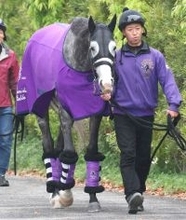【天皇賞・春】武豊騎手のアドマイヤテラは過去最多１３勝の３番枠　陣営「豊さんに任せておけばいいと思っています」