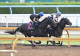 「【宝塚記念・２週前】春古馬３冠へ　クロワデュノールが上々の動き　斉藤崇調教師「また競馬のスイッチが入ってきた」」の画像1