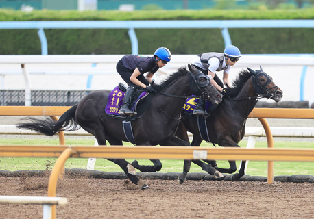【宝塚記念・２週前】春古馬３冠クロワデュノールが上々の動き　斉藤崇調教師「また競馬のスイッチが入ってきた」