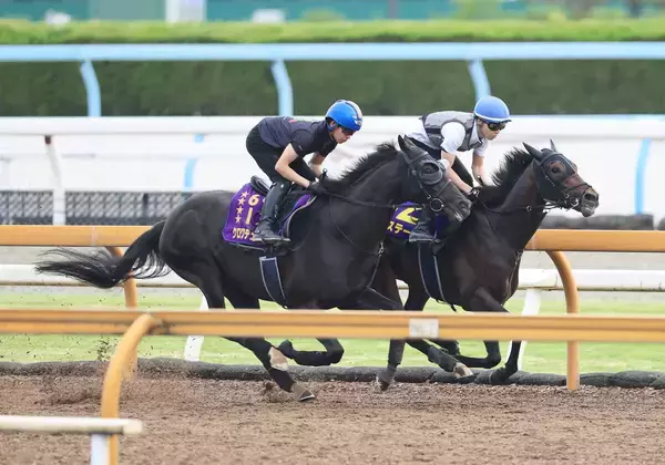 【宝塚記念・２週前】春古馬３冠へ　クロワデュノールが上々の動き　斉藤崇調教師「また競馬のスイッチが入ってきた」
