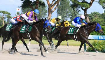 【レパードＳ】「正直まだまだ馬は出来上がっていない」状態でもチェリヴェントが重賞初挑戦Ｖ　見事な差し切り！