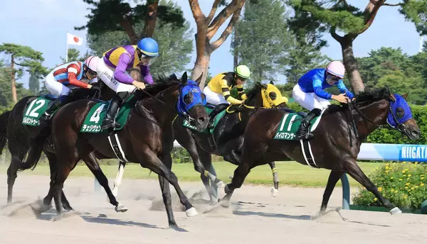 【レパードＳ】「正直まだまだ馬は出来上がっていない」状態でもチェリヴェントが重賞初挑戦Ｖ　見事な差し切り！