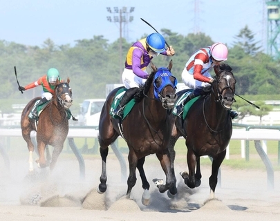 【注目馬動向】レパードＳ勝ちのチェリヴェントはＪＤクラシックに参戦　３歳ダート３冠「最後の１冠」を狙う