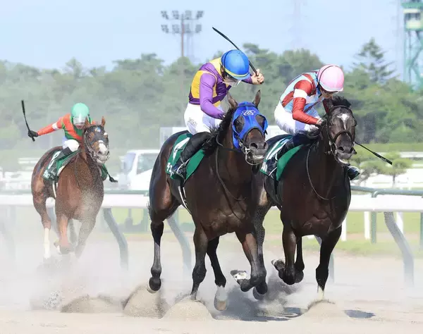 【注目馬動向】レパードＳ勝ちのチェリヴェントはＪＤクラシックに参戦　３歳ダート３冠「最後の１冠」を狙う