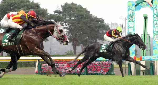 【新潟記念】レース直前の豪雨にネット騒然「宝塚記念みたい」「反則だわ」「良馬場前提で…」