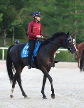 【注目馬動向】マーキュリーＣ２着のムルソーはみやこＳで重賞２勝目を狙う　ショウナンラプンタは京都大賞典へ