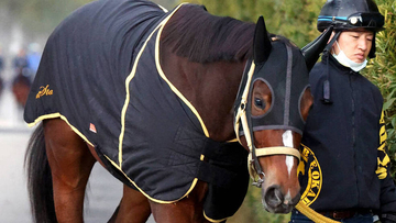 【注目馬動向】テンカジョウはレディスプレリュード　新潟で新馬Ｖの良血馬トップレイアーは武豊騎手とアイビーＳ