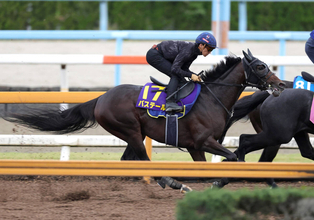 【菊花賞】フィットする馬装で挑めるバステールはかみ合えば一発あり　追い切り騎乗の川田将雅騎手「全てが整ってきたら非常に楽しみ」　