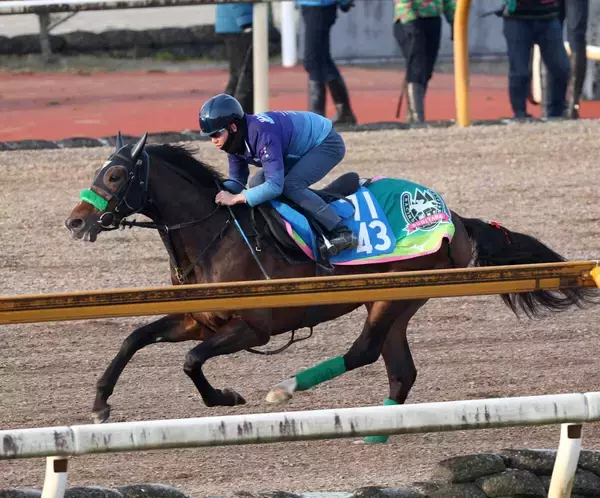 【アメリカＪＣＣ】クラシック皆勤のジョバンニが重賞初制覇を狙う　杉山晴調教師「どんな競馬場、コースでも走れる馬」