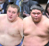 「【１１日目の見どころ】賜杯争いトップ・安青錦に伯乃富士が挑む　大の里は過去９戦全勝の霧島が相手」の画像1