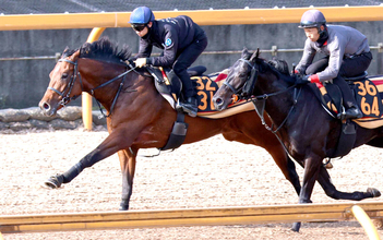 【きさらぎ賞】コントレイル産駒重賞初Ｖへ　ゴーイントゥスカイはスムーズな動き　荻野極騎手「息遣いもよかった」