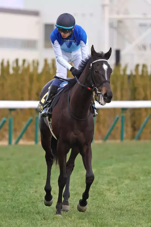 【エルフィンＳ】良血馬のアドマイヤシュラは４着　坂井瑠星騎手「もう少し距離があっていいタイプ」