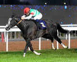 「【アブダビゴールドＣ】さすがマジックマン！　神業リードのモレイラ騎手「別次元の馬」シュトラウスが初代王者」の画像1