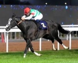 【アブダビゴールドＣ】さすがマジックマン！　神業リードのモレイラ騎手「別次元の馬」シュトラウスが初代王者