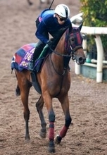 【阪神牝馬Ｓ】エンブロイダリーが阪神マイルで反撃へ　陣営「背が伸びて、パワーアップしたと感じます」