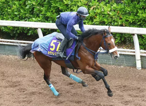 【ＮＨＫマイルＣ・１週前】カヴァレリッツォが皐月賞後の初時計　吉岡調教師「マイルで力比べになれば一番いいのでは」