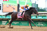 「【注目馬動向】テーオーエルビスはコリアスプリント辞退→ＢＣスプリント直行　高柳大調教師「またひと回り大きくなった感じ」」の画像1